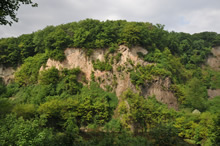 08.05.2009 - Ehemaliger Steinbruch am Weilberg / Klick vergrößert Bild