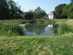 Kloster Heisterbach - Bild18