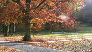 Kloster Heisterbach - Bild21